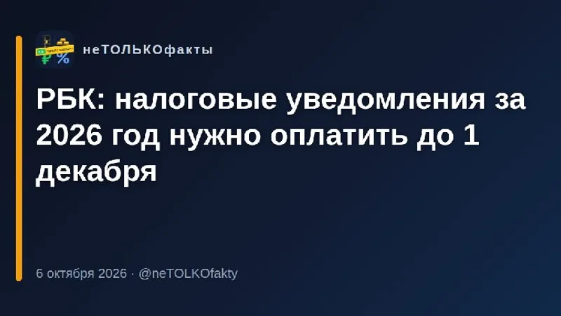 РБК: налоговые уведомления за 2026 год нужно оплатить до 1 декабря