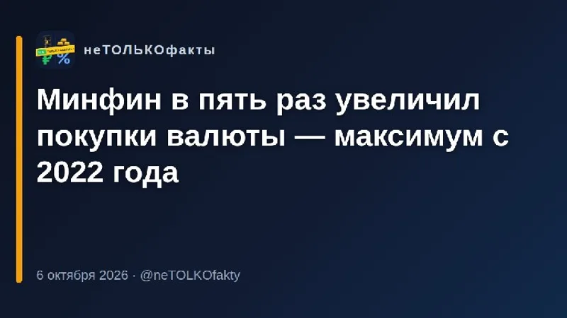 Минфин в пять раз увеличил покупки валюты — максимум с 2022 года