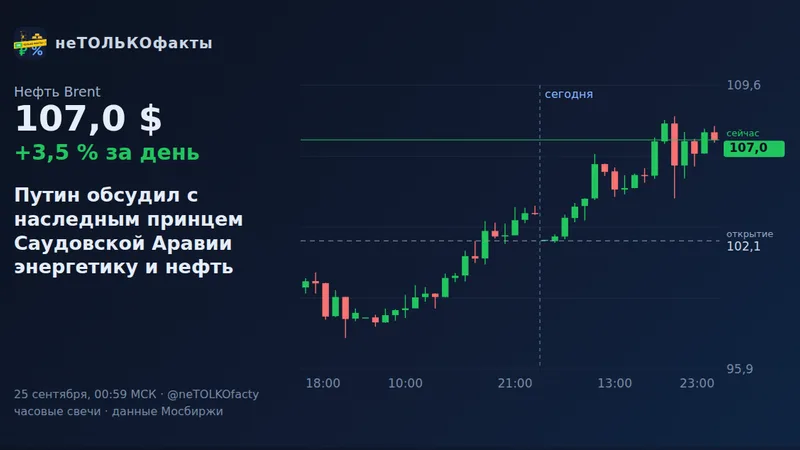 Путин обсудил с наследным принцем Саудовской Аравии энергетику и нефть