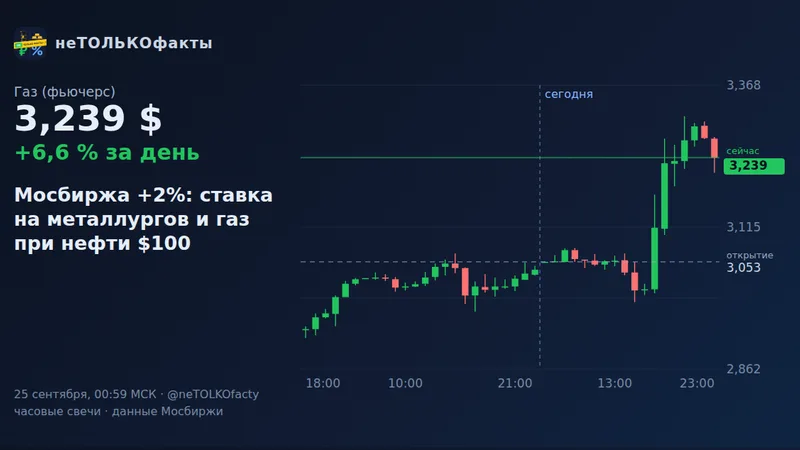 Мосбиржа +2%: ставка на металлургов и газ при нефти $100