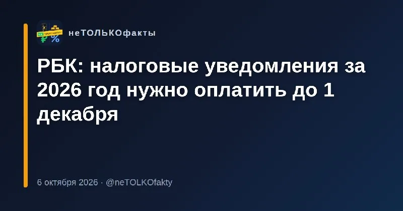 РБК: налоговые уведомления за 2026 год нужно оплатить до 1 декабря